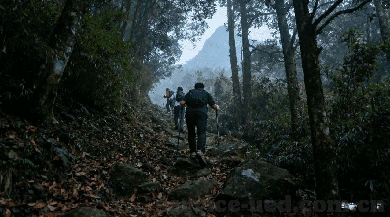 大小单双赚钱平台APP下载-大小单双，探索高效赚钱平台，揭秘APP下载新风向